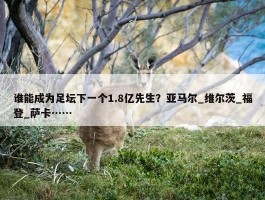 谁能成为足坛下一个1.8亿先生？亚马尔_维尔茨_福登_萨卡……