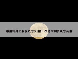 泰迪狗身上有皮炎怎么治疗 泰迪犬的皮炎怎么治