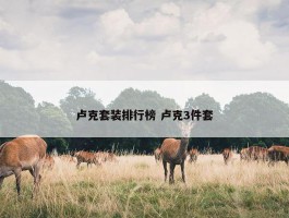 卢克套装排行榜 卢克3件套