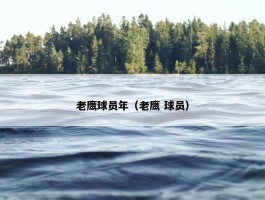 老鹰球员年（老鹰 球员）