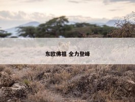 东欧佛祖 全力登峰