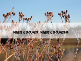 网站优化多久有效 网站优化多久有效果