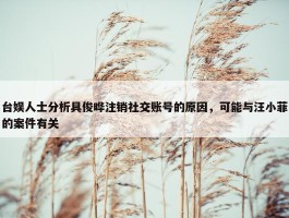 台娱人士分析具俊晔注销社交账号的原因，可能与汪小菲的案件有关