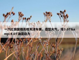 一汽红旗国雅亮相天津车展，造型大气，搭3.0T&4.0T油混动力