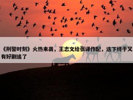 《刑警时刻》火热来袭，王志文给张译作配，这下终于又有好剧追了