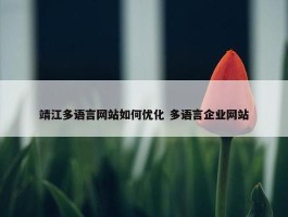 靖江多语言网站如何优化 多语言企业网站