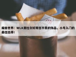 魔兽世界：WLK奥杜尔好用但不贵的饰品，小号入门的最佳选择！