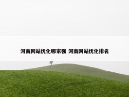 河南网站优化哪家强 河南网站优化排名