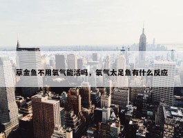 草金鱼不用氧气能活吗，氧气太足鱼有什么反应