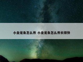 小金龙鱼怎么养 小金龙鱼怎么养长得快