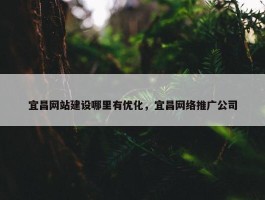 宜昌网站建设哪里有优化，宜昌网络推广公司