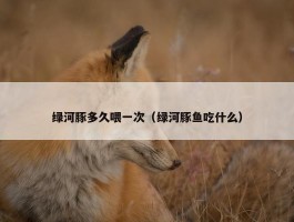 绿河豚多久喂一次（绿河豚鱼吃什么）