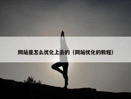 网站是怎么优化上去的（网站优化的教程）