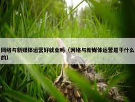 网络与新媒体运营好就业吗（网络与新媒体运营是干什么的）