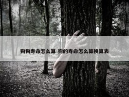 狗狗寿命怎么算 狗的寿命怎么算换算表