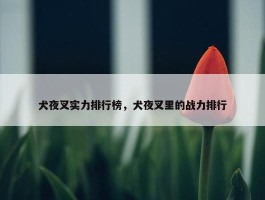 犬夜叉实力排行榜，犬夜叉里的战力排行