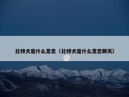 比特犬是什么意思（比特犬是什么意思聊天）