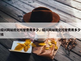 绍兴网站优化托管费用多少，绍兴网站优化托管费用多少钱