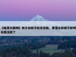 《暗夜与黎明》林少白四次放走徐巍，看懂这些细节就明白他没救了