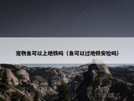 宠物鱼可以上地铁吗（鱼可以过地铁安检吗）