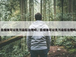 自媒体可以先污染后治理吗，自媒体可以先污染后治理吗