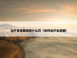 治疗鱼蒙眼病用什么药（如何治疗鱼蒙眼）