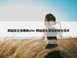 网站优化有哪些site 网站优化常见的优化技术