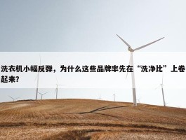 洗衣机小幅反弹，为什么这些品牌率先在“洗净比”上卷起来？