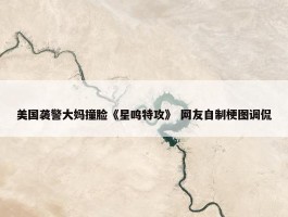 美国袭警大妈撞脸《星鸣特攻》 网友自制梗图调侃