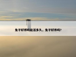 兔子好养吗能活多久，兔子好养吗?