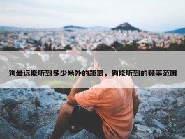 狗最远能听到多少米外的距离，狗能听到的频率范围