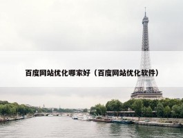 百度网站优化哪家好（百度网站优化软件）