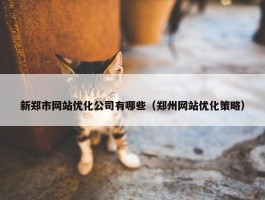 新郑市网站优化公司有哪些（郑州网站优化策略）