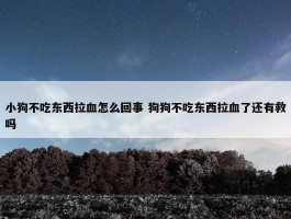 小狗不吃东西拉血怎么回事 狗狗不吃东西拉血了还有救吗