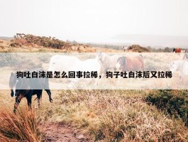 狗吐白沫是怎么回事拉稀，狗子吐白沫后又拉稀