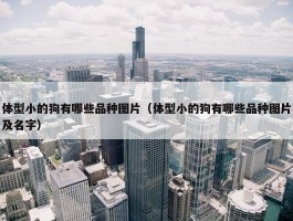 体型小的狗有哪些品种图片（体型小的狗有哪些品种图片及名字）