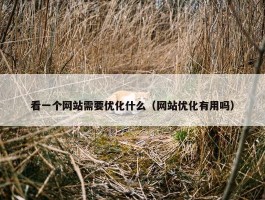 看一个网站需要优化什么（网站优化有用吗）