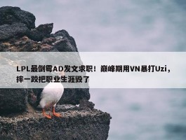 LPL最倒霉AD发文求职！巅峰期用VN暴打Uzi，摔一跤把职业生涯毁了