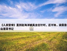 《人民警察》直到赵海洋被吴主任针对，还不知，梁震靠山是蒋书记