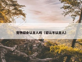 宠物貂会认主人吗（貂认不认主人）