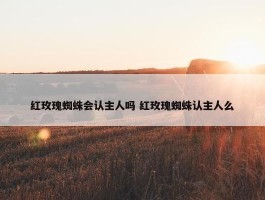 红玫瑰蜘蛛会认主人吗 红玫瑰蜘蛛认主人么