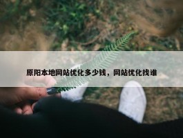 原阳本地网站优化多少钱，网站优化找谁