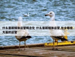 什么是新媒体运营概念化 什么是新媒体运营,包含哪些方面的运营