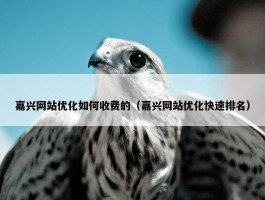 嘉兴网站优化如何收费的（嘉兴网站优化快速排名）