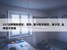 S37法师辅助现状：张良_墨子胜率霸榜，姜子牙_金蝉低于预期