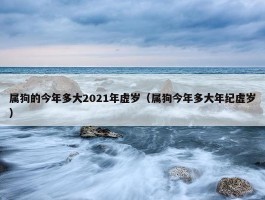 属狗的今年多大2021年虚岁（属狗今年多大年纪虚岁）