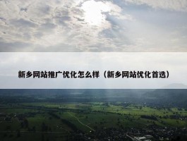 新乡网站推广优化怎么样（新乡网站优化首选）