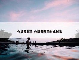 仓鼠摸哪里 仓鼠摸哪里越来越乖