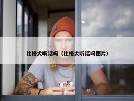 比格犬听话吗（比格犬听话吗图片）