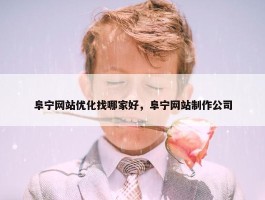 阜宁网站优化找哪家好，阜宁网站制作公司